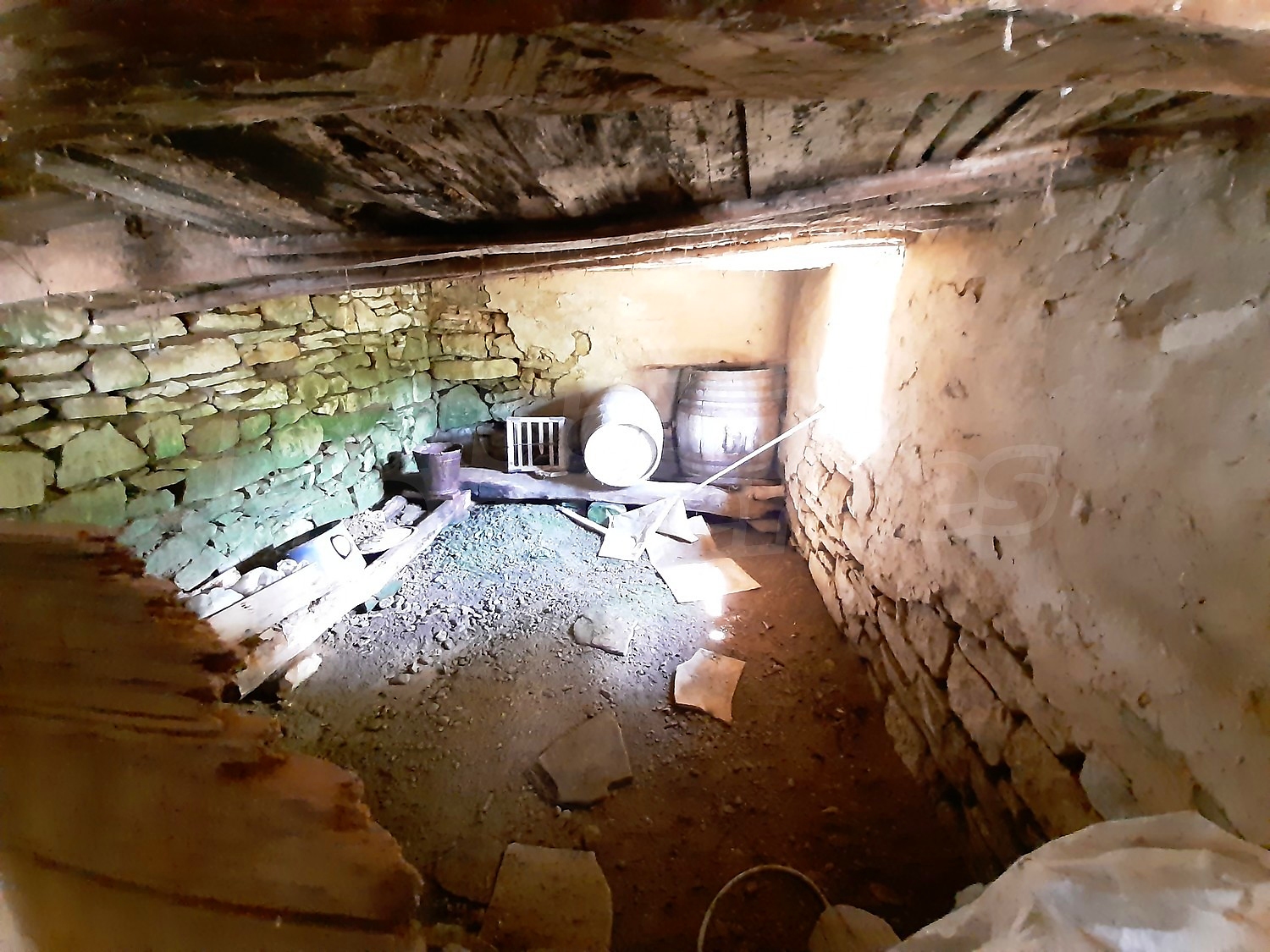 Gallery Picture 15