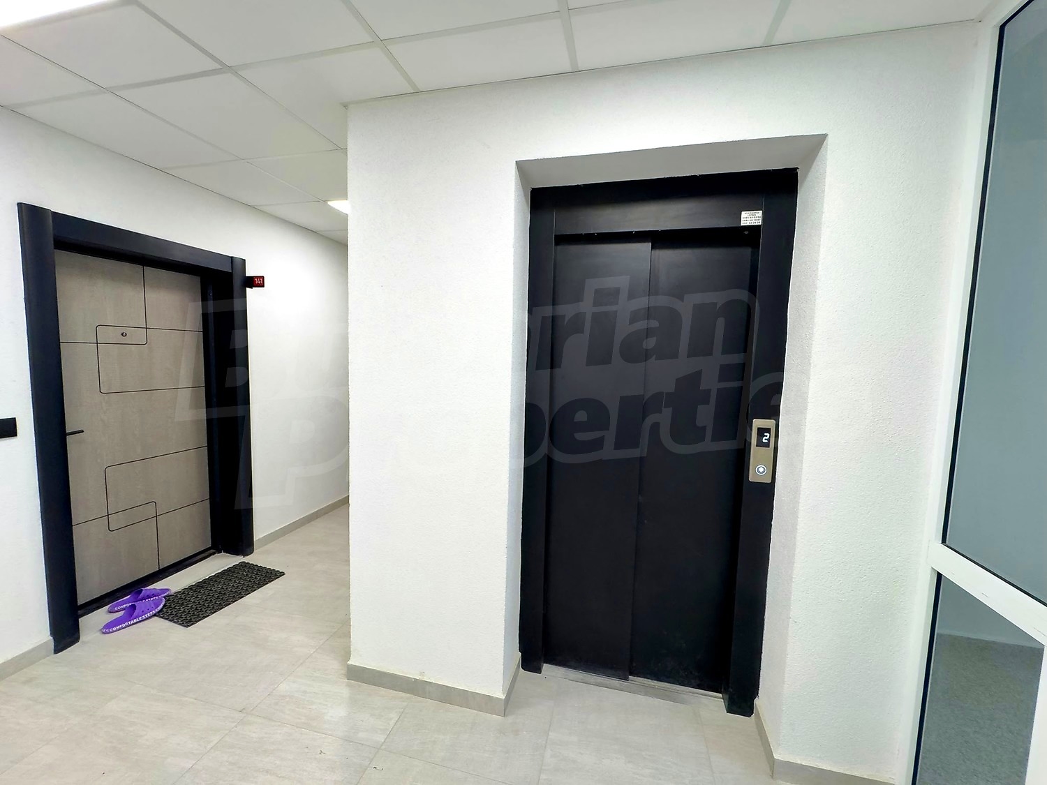 Gallery Picture 19