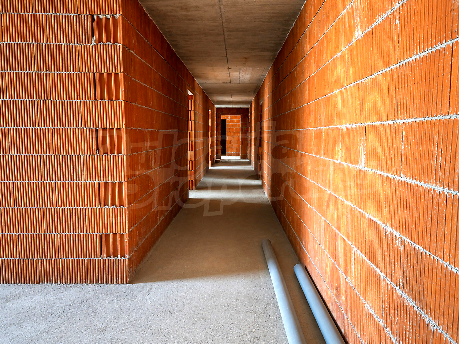 Gallery Picture 13