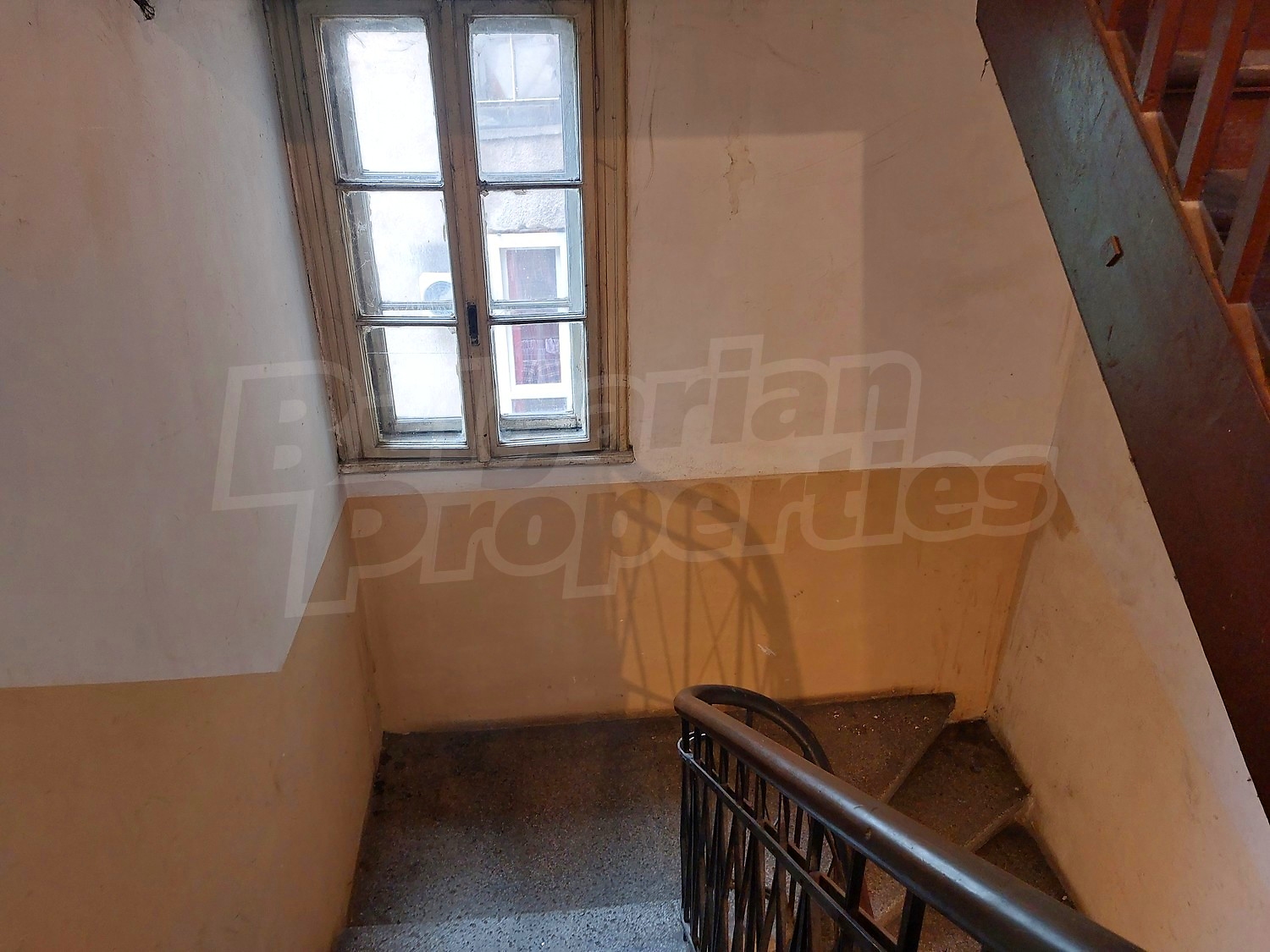 Gallery Picture 24