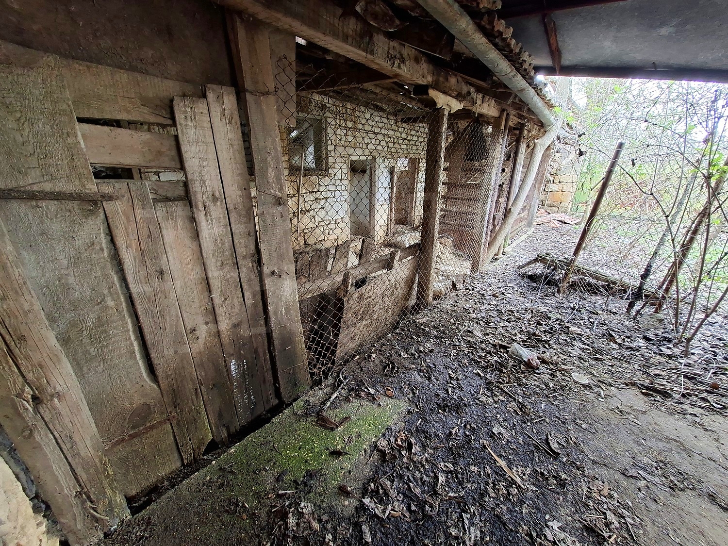 Gallery Picture 12