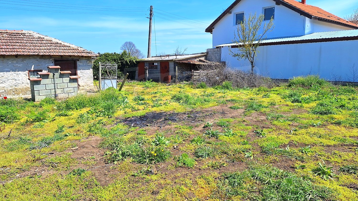 Gallery Picture 18