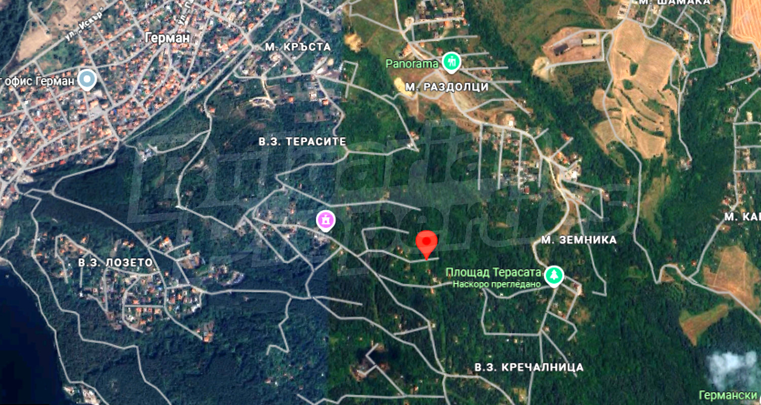 Gallery Picture 7