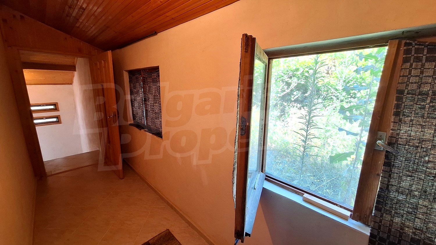 Gallery Picture 29