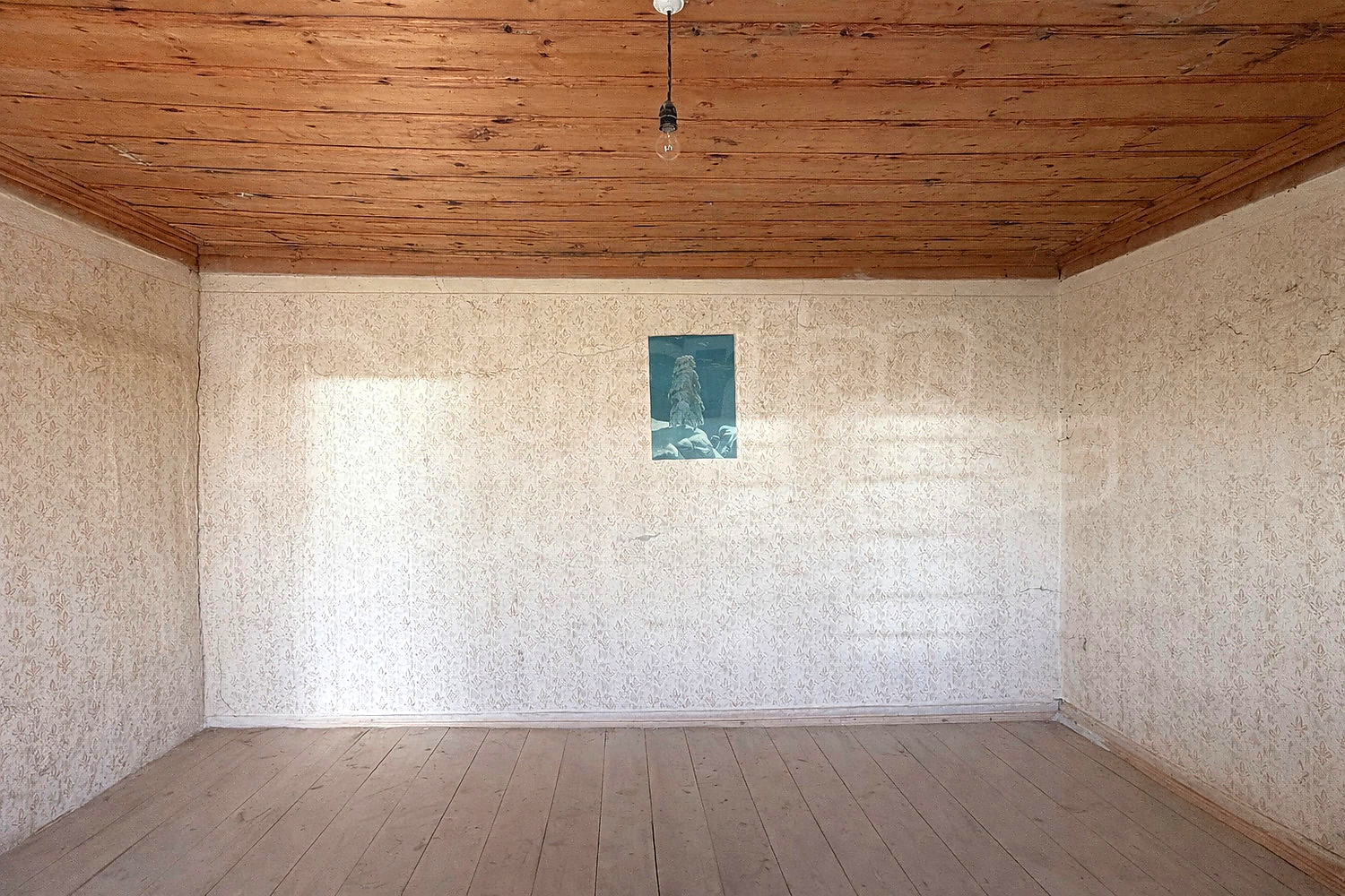 Gallery Picture 6