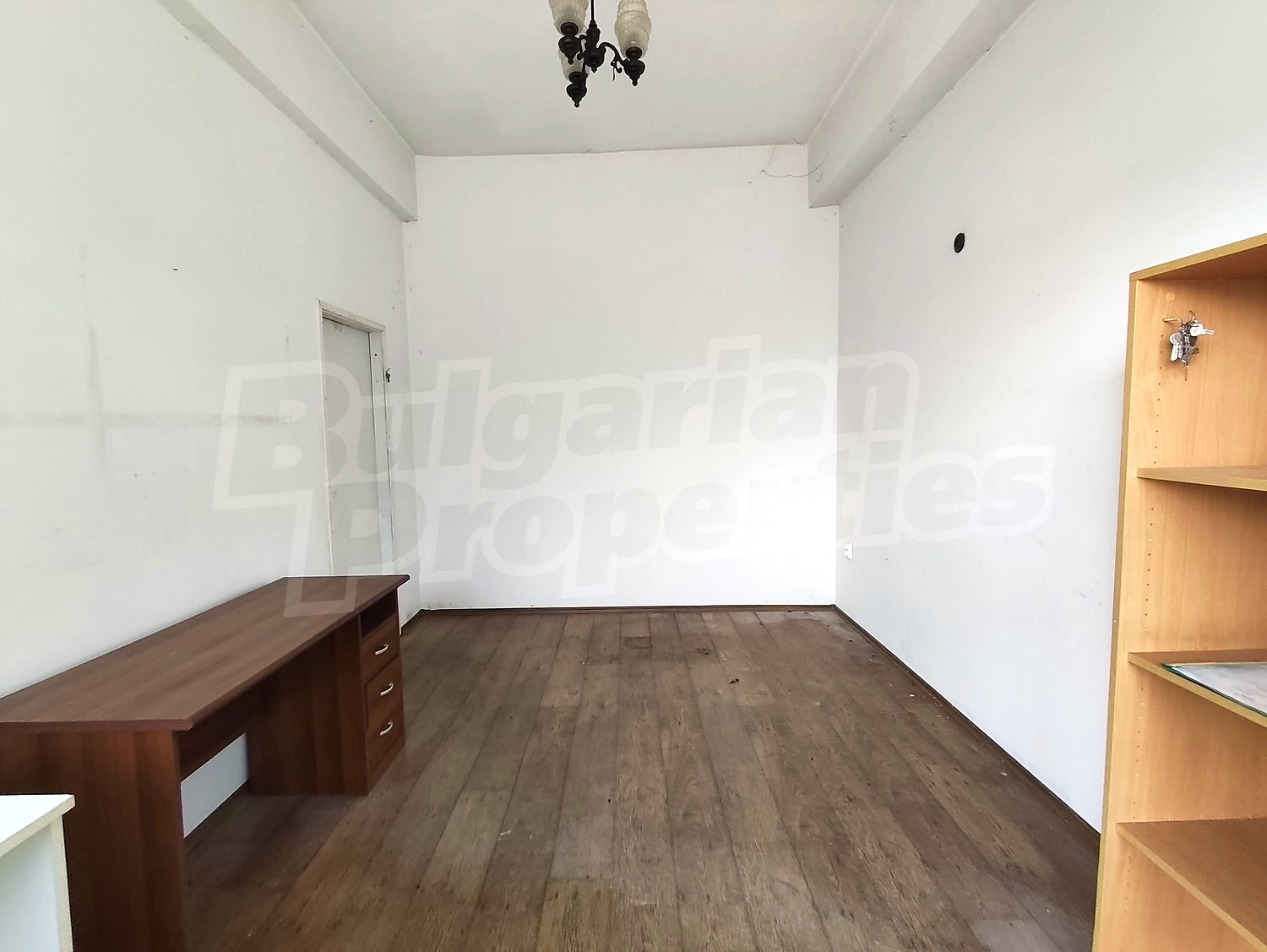 Gallery Picture 10