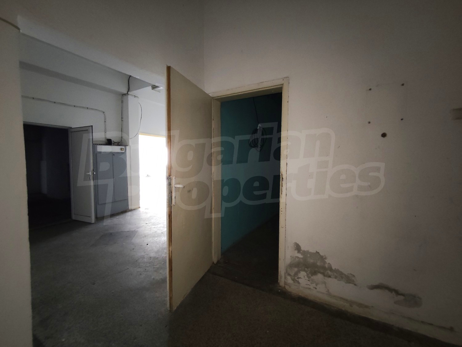 Gallery Picture 25