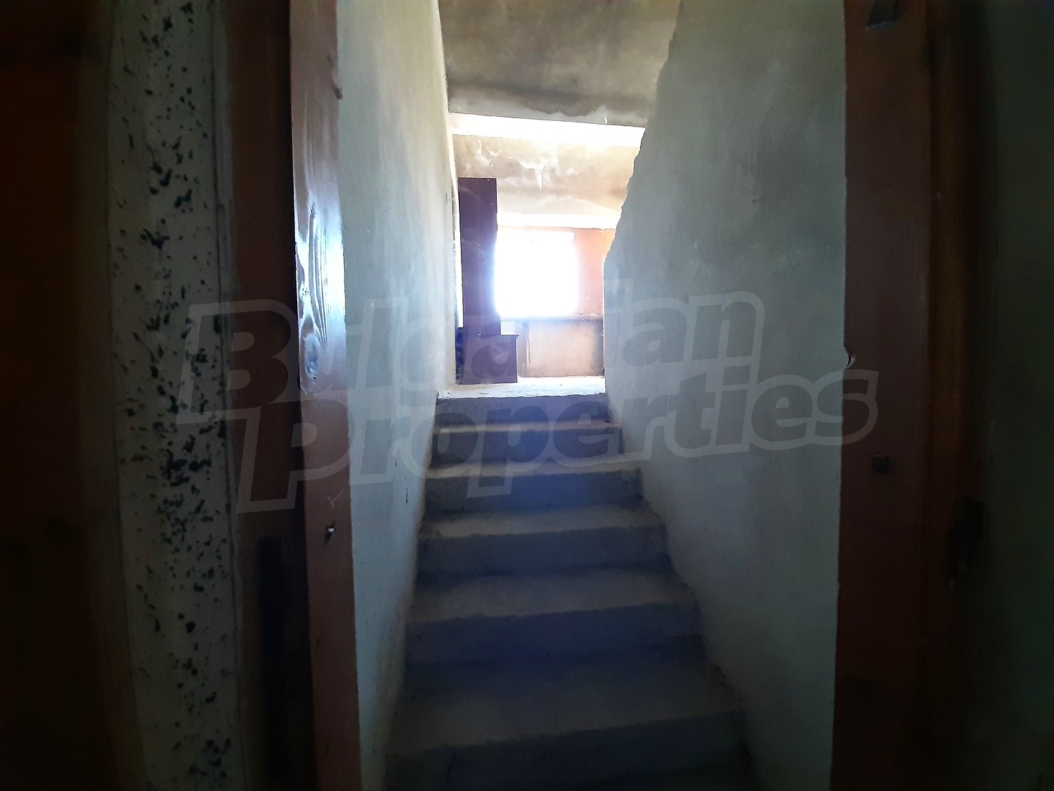 Gallery Picture 7