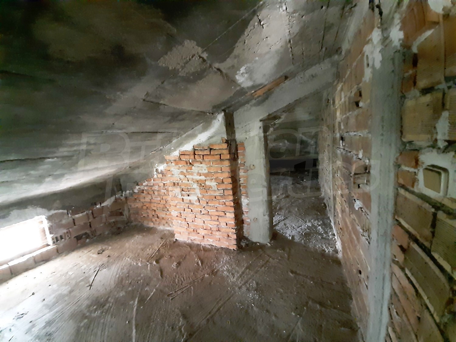 Gallery Picture 47