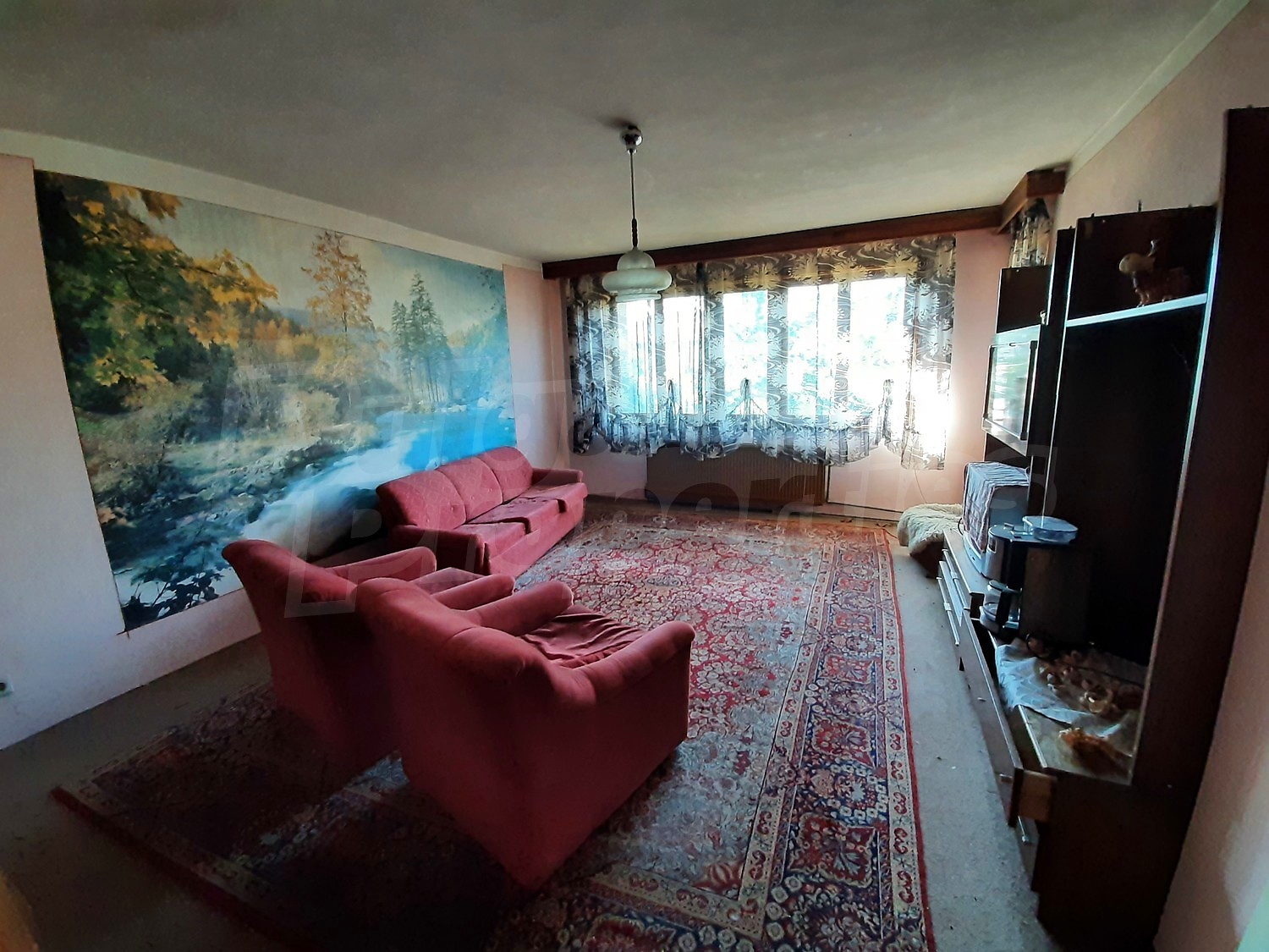 Gallery Picture 19