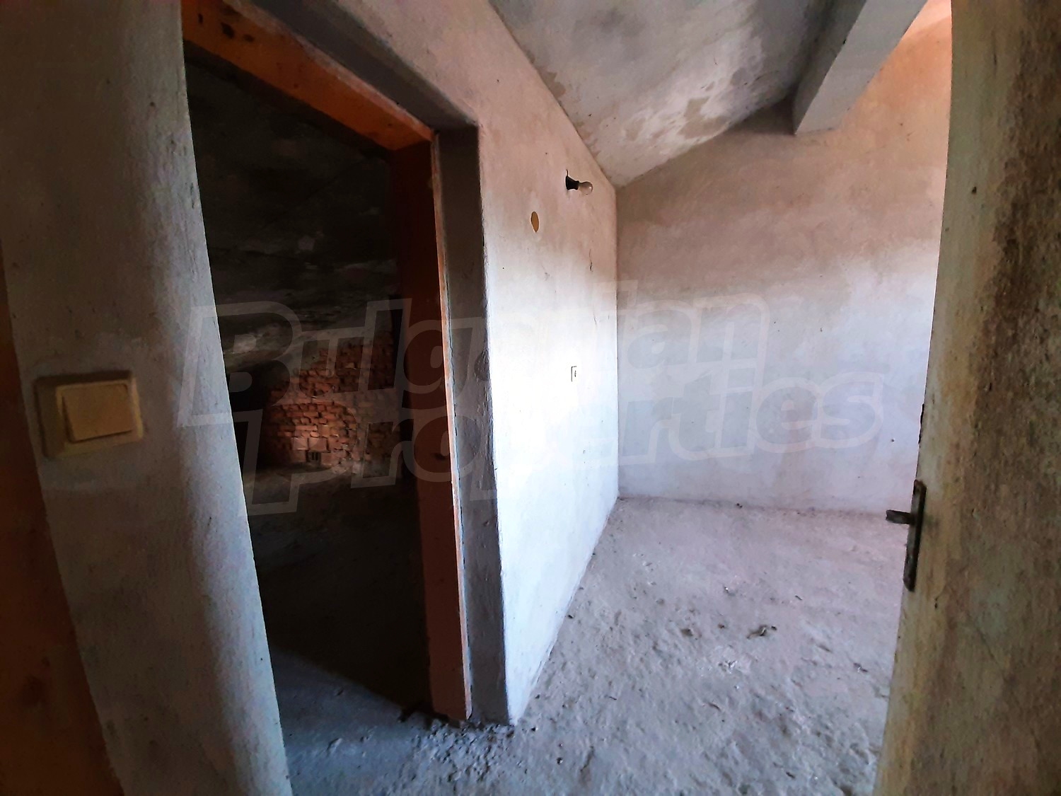 Gallery Picture 46
