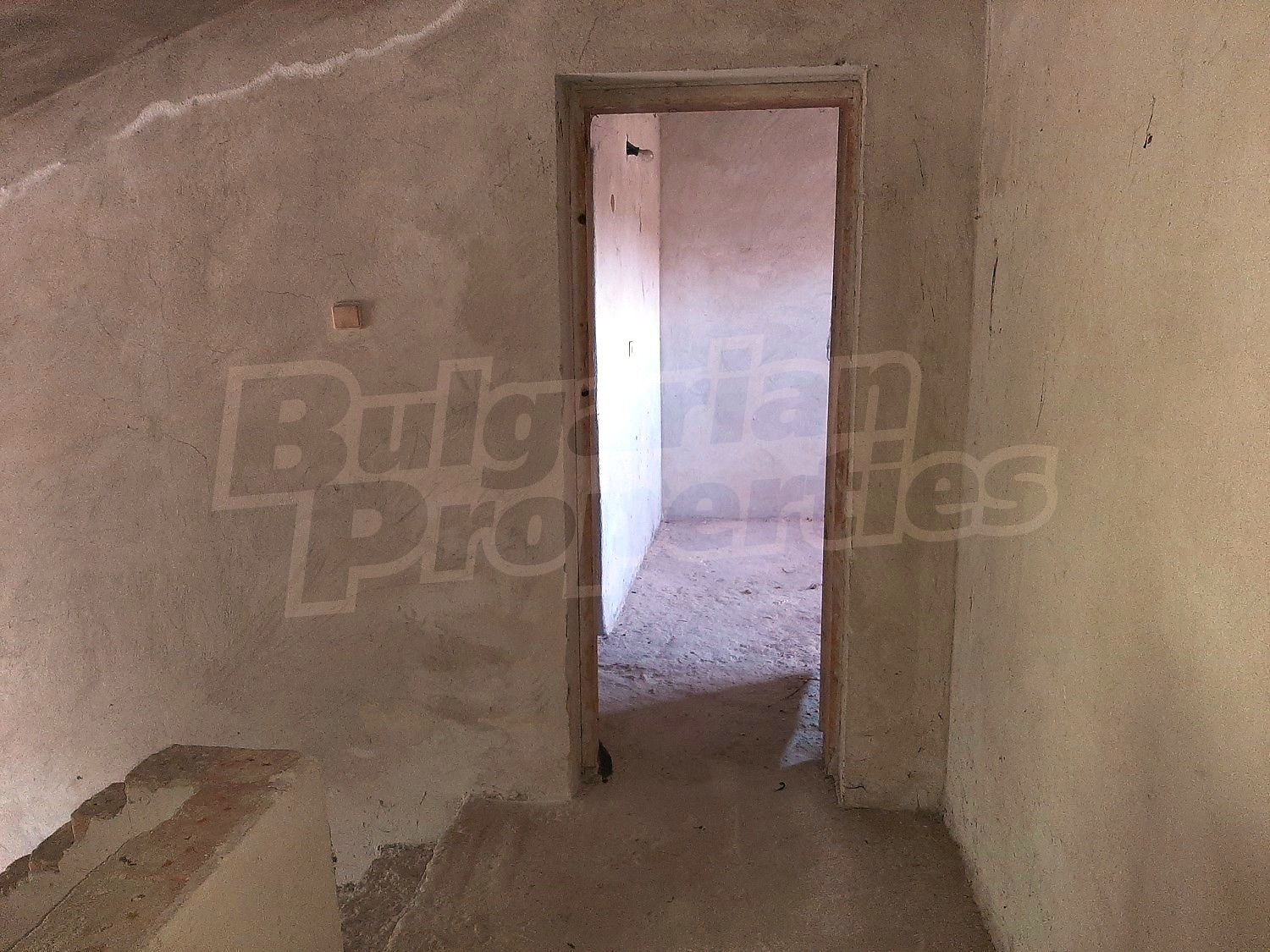 Gallery Picture 43