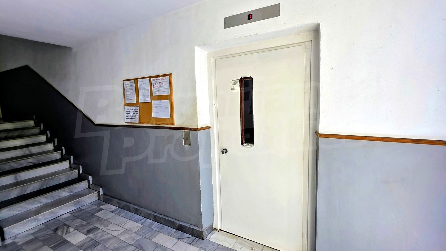 Gallery Picture 32
