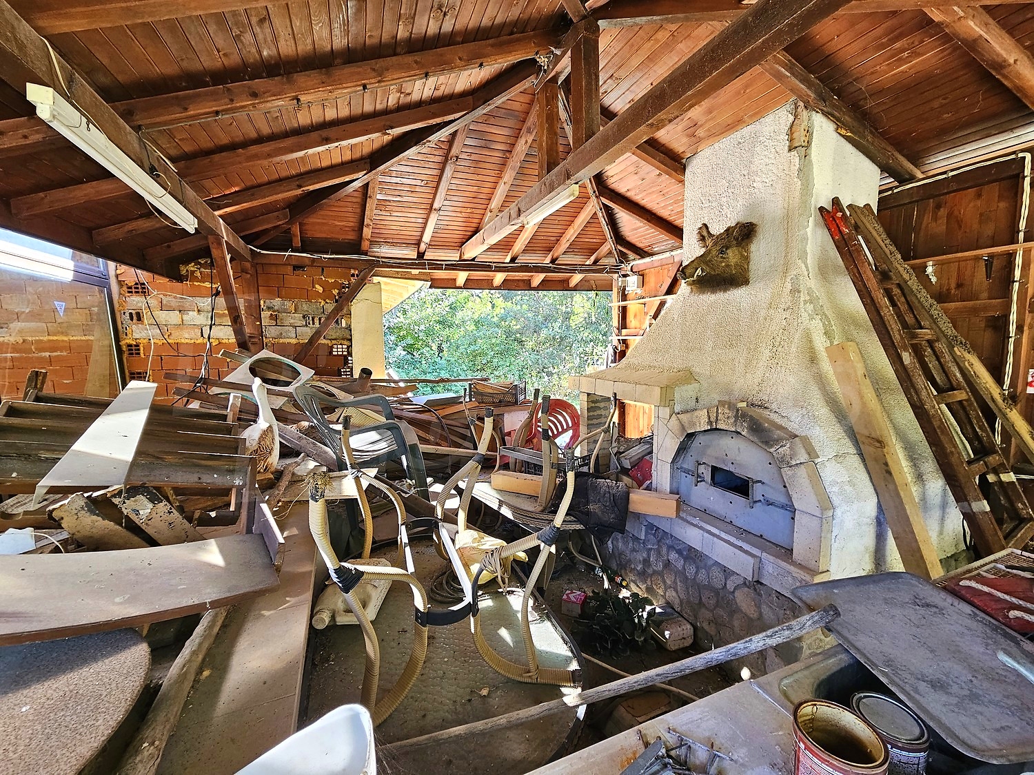 Gallery Picture 54