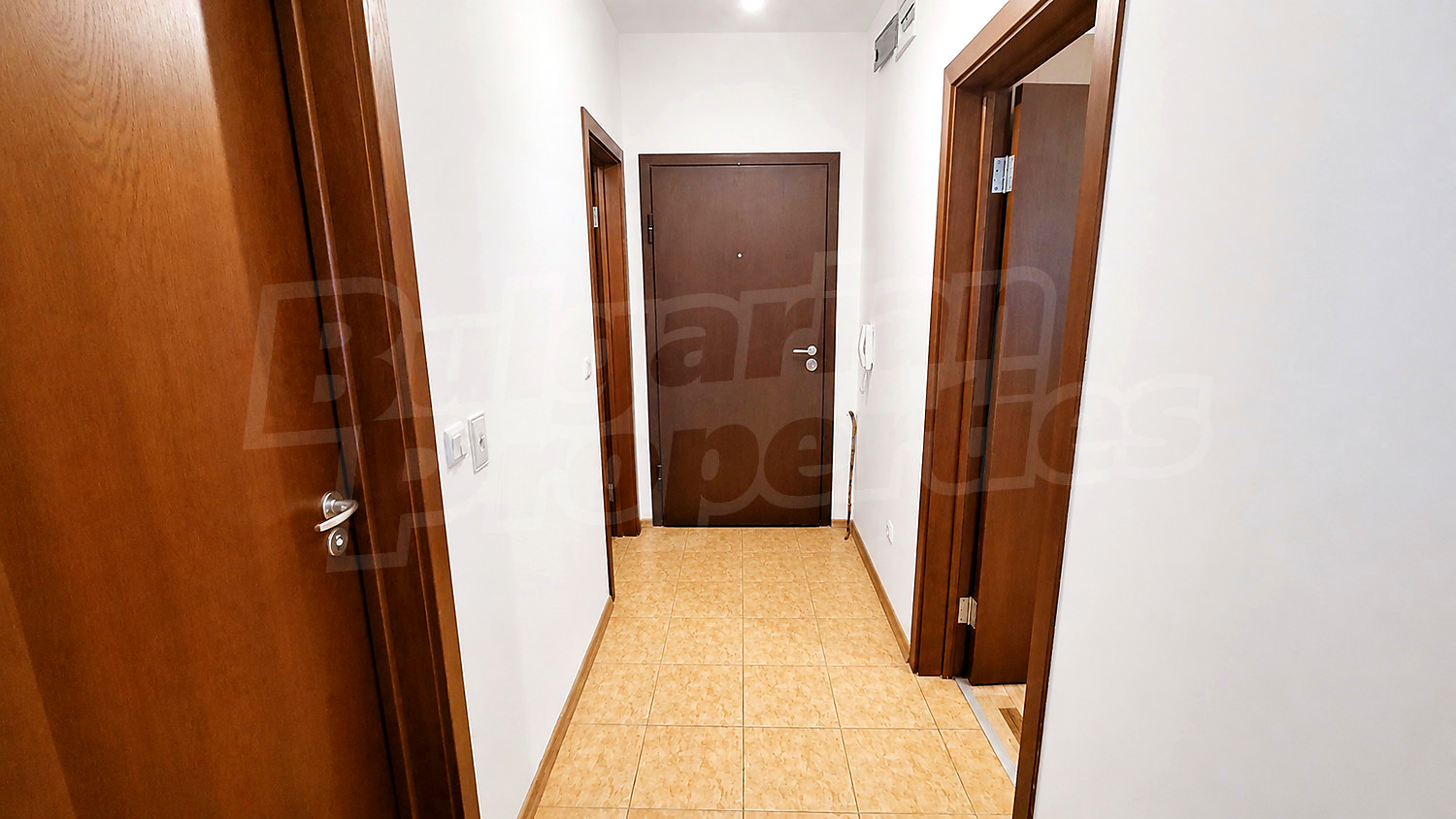 Gallery Picture 5