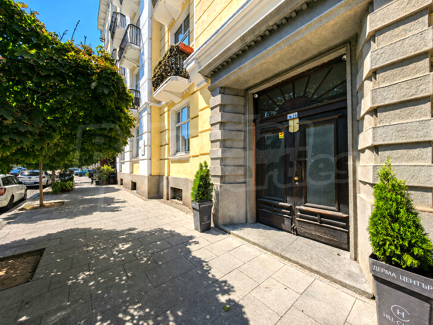 Gallery Picture 15