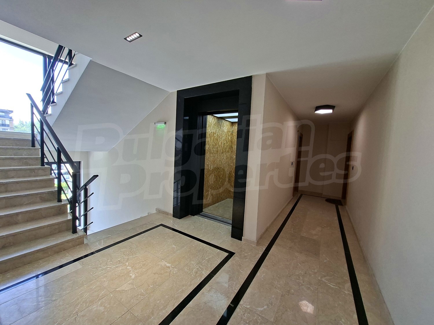 Gallery Picture 14