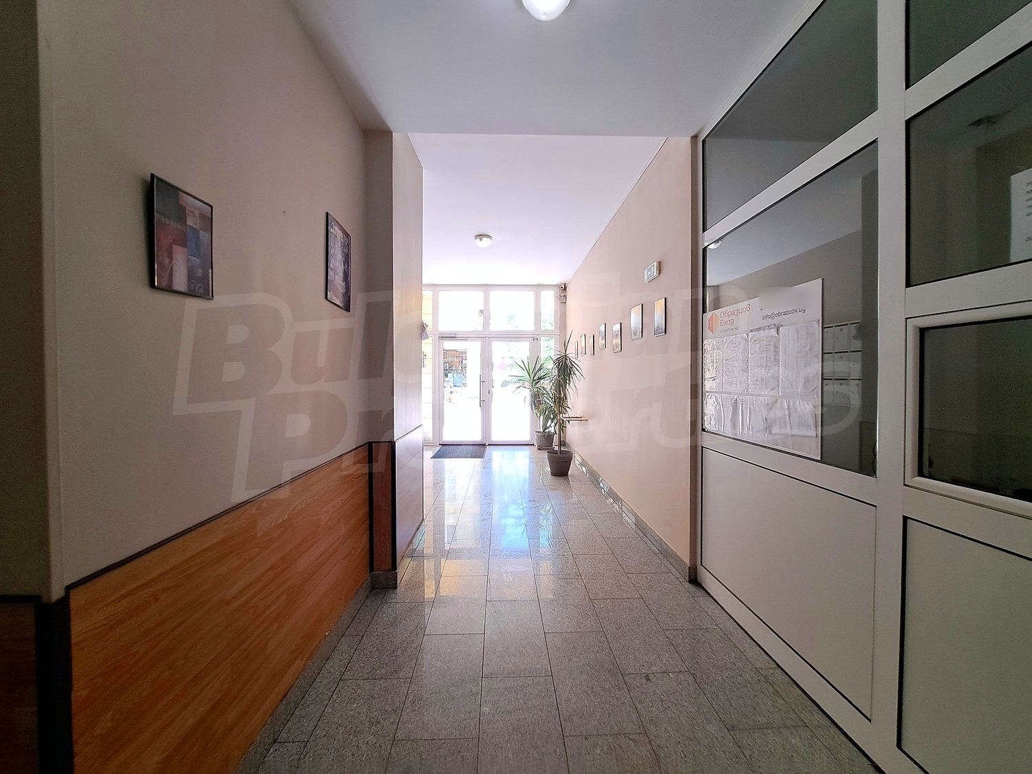 Gallery Picture 10