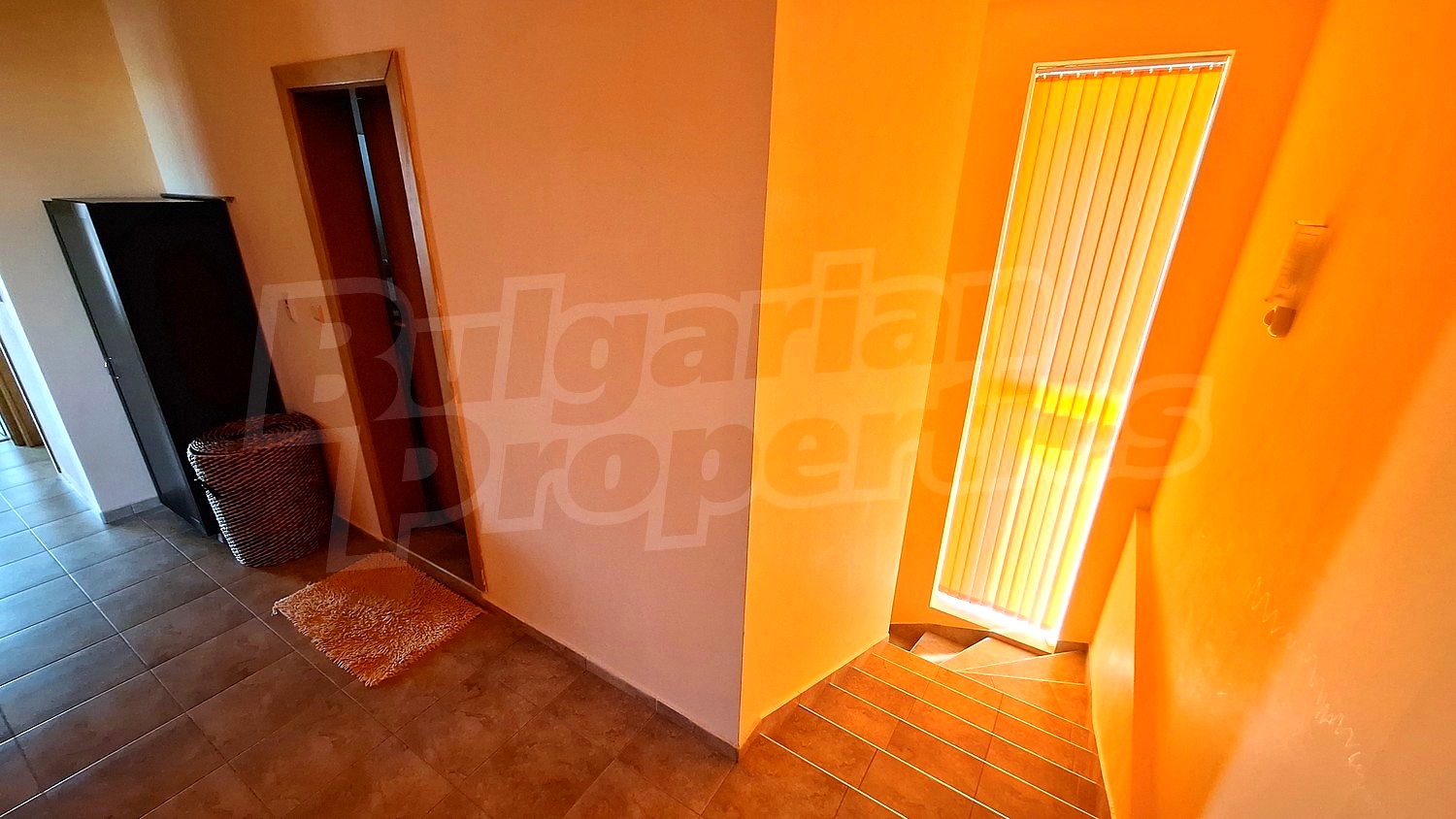 Gallery Picture 13