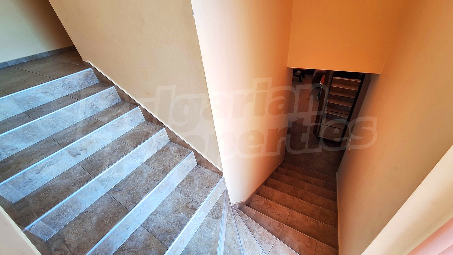 Gallery Picture 19