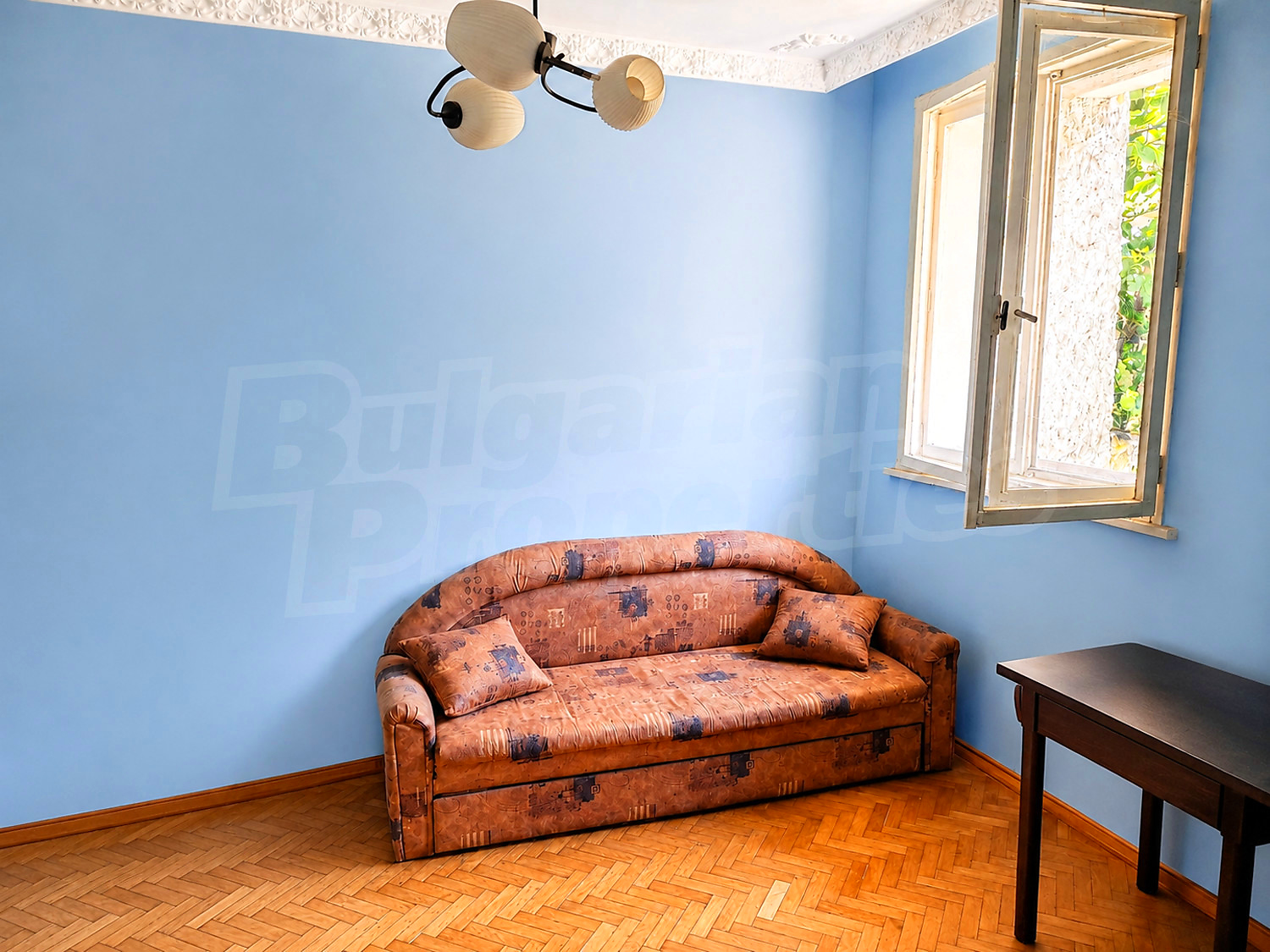 Gallery Picture 6