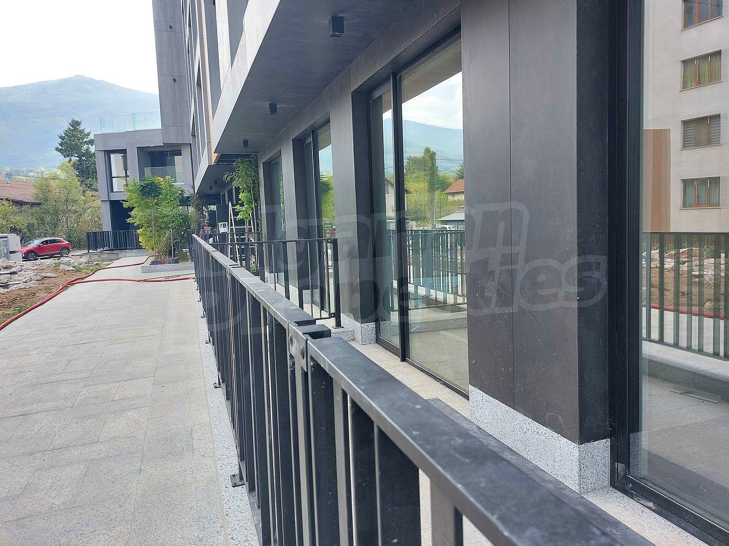Gallery Picture 66