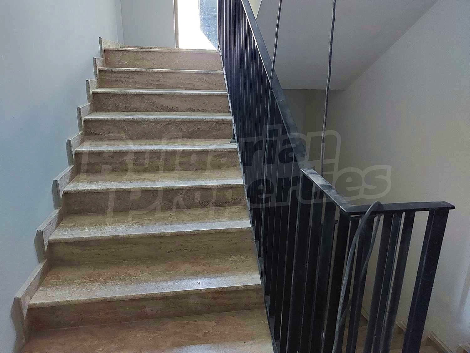 Gallery Picture 61