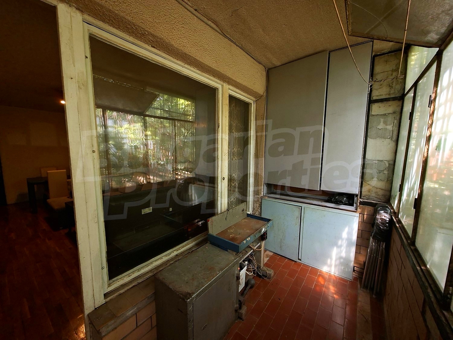 Gallery Picture 12