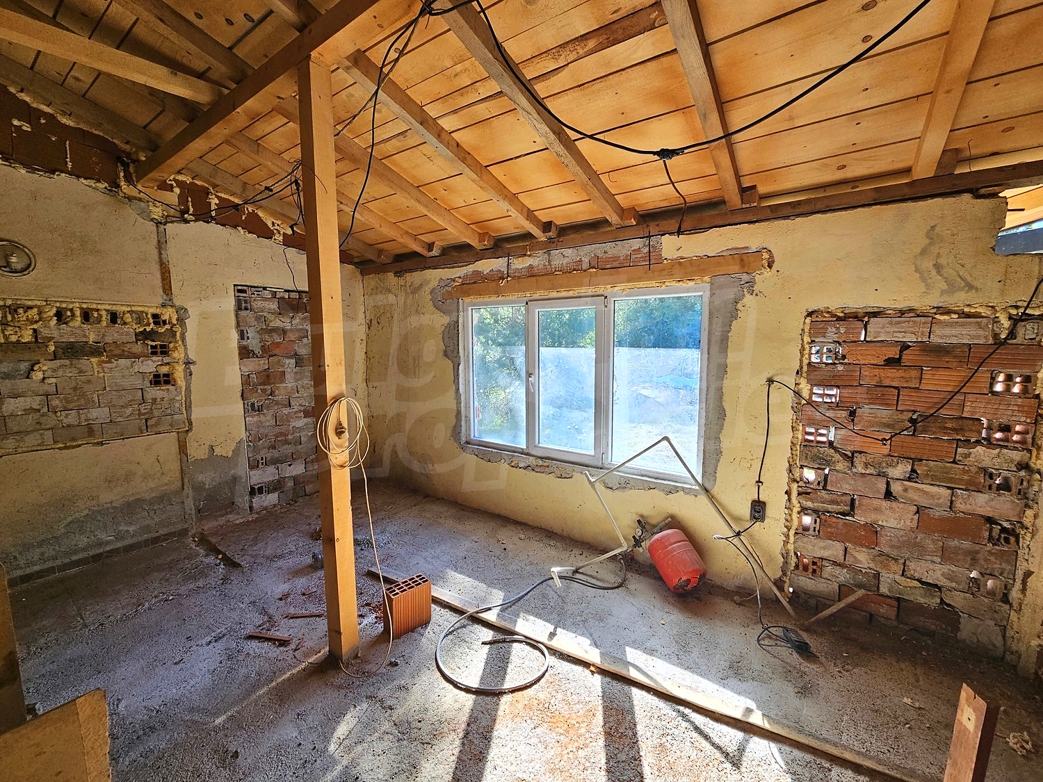 Gallery Picture 46