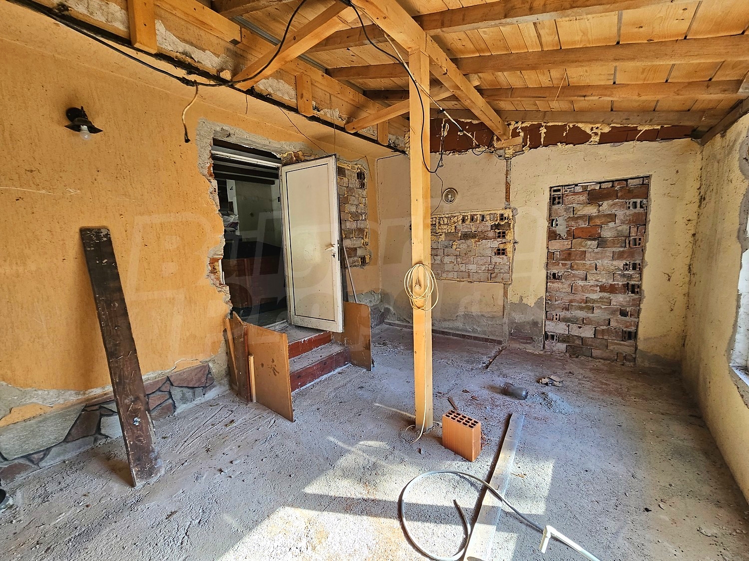 Gallery Picture 47