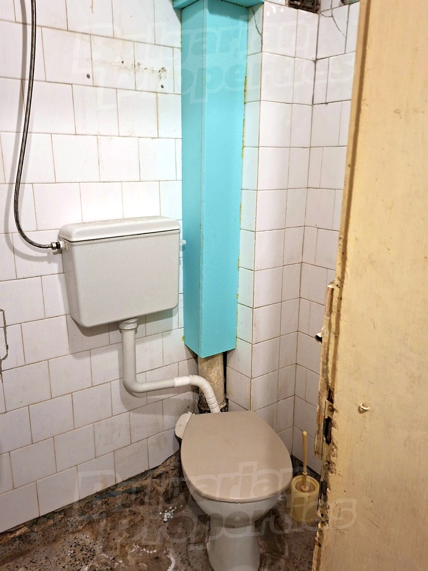 Gallery Picture 5