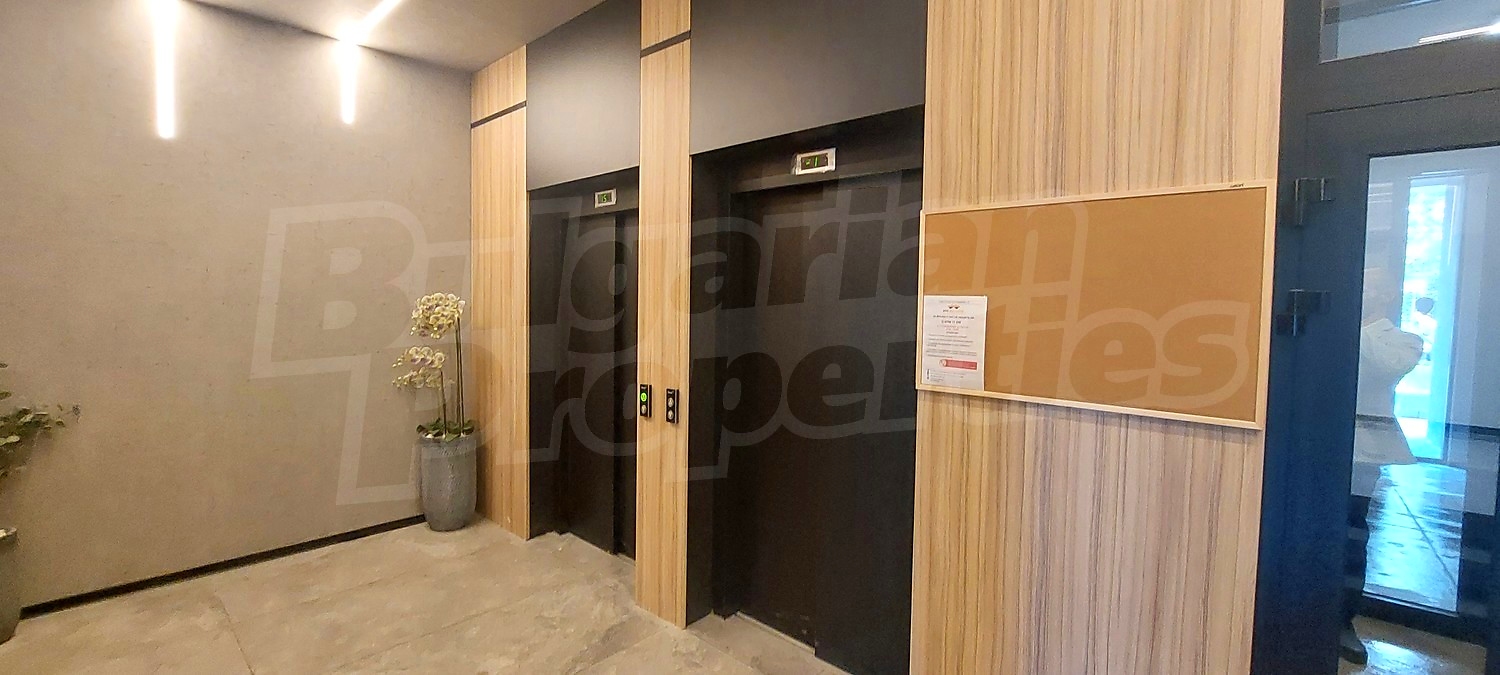 Gallery Picture 12