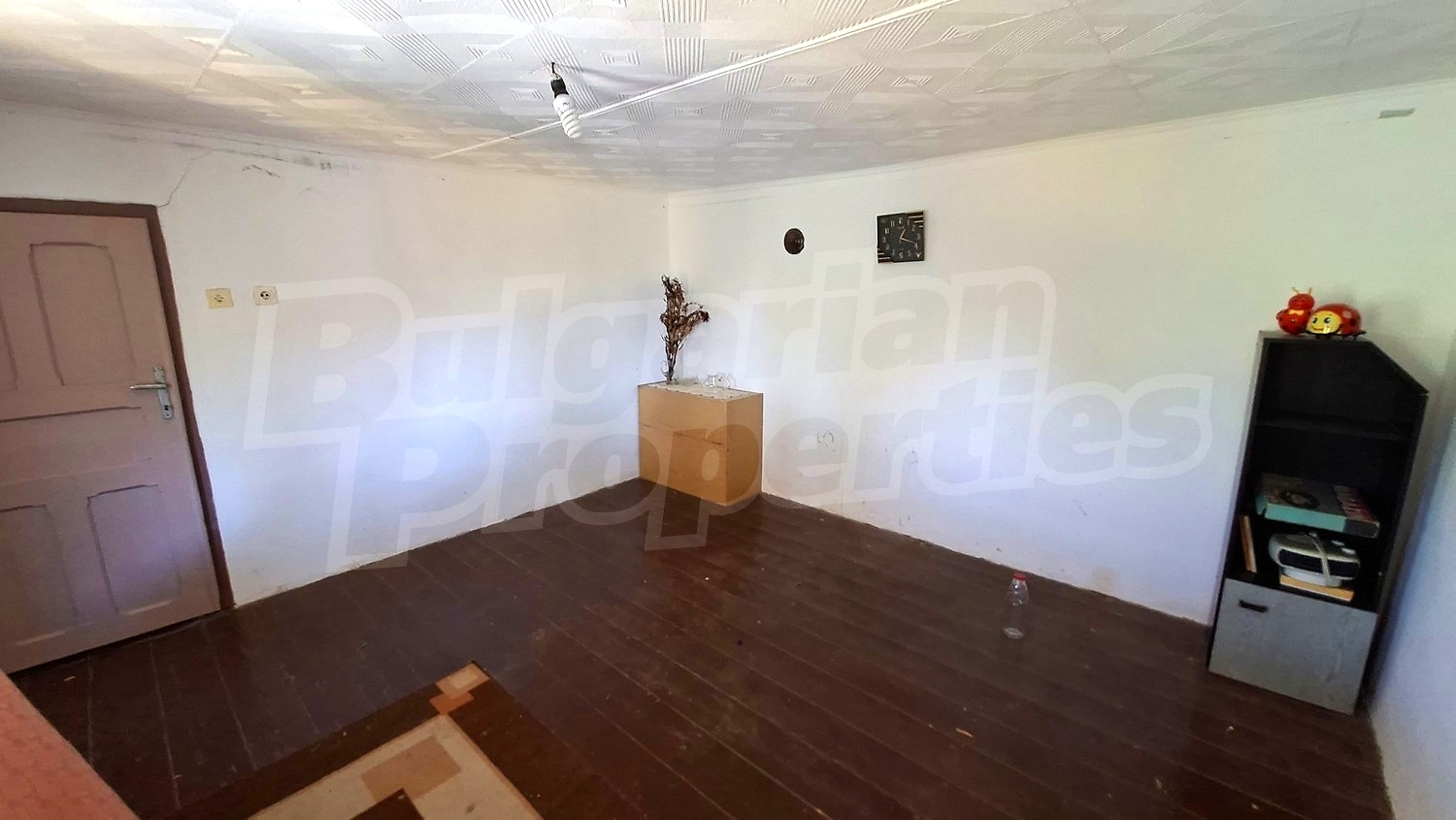 Gallery Picture 17