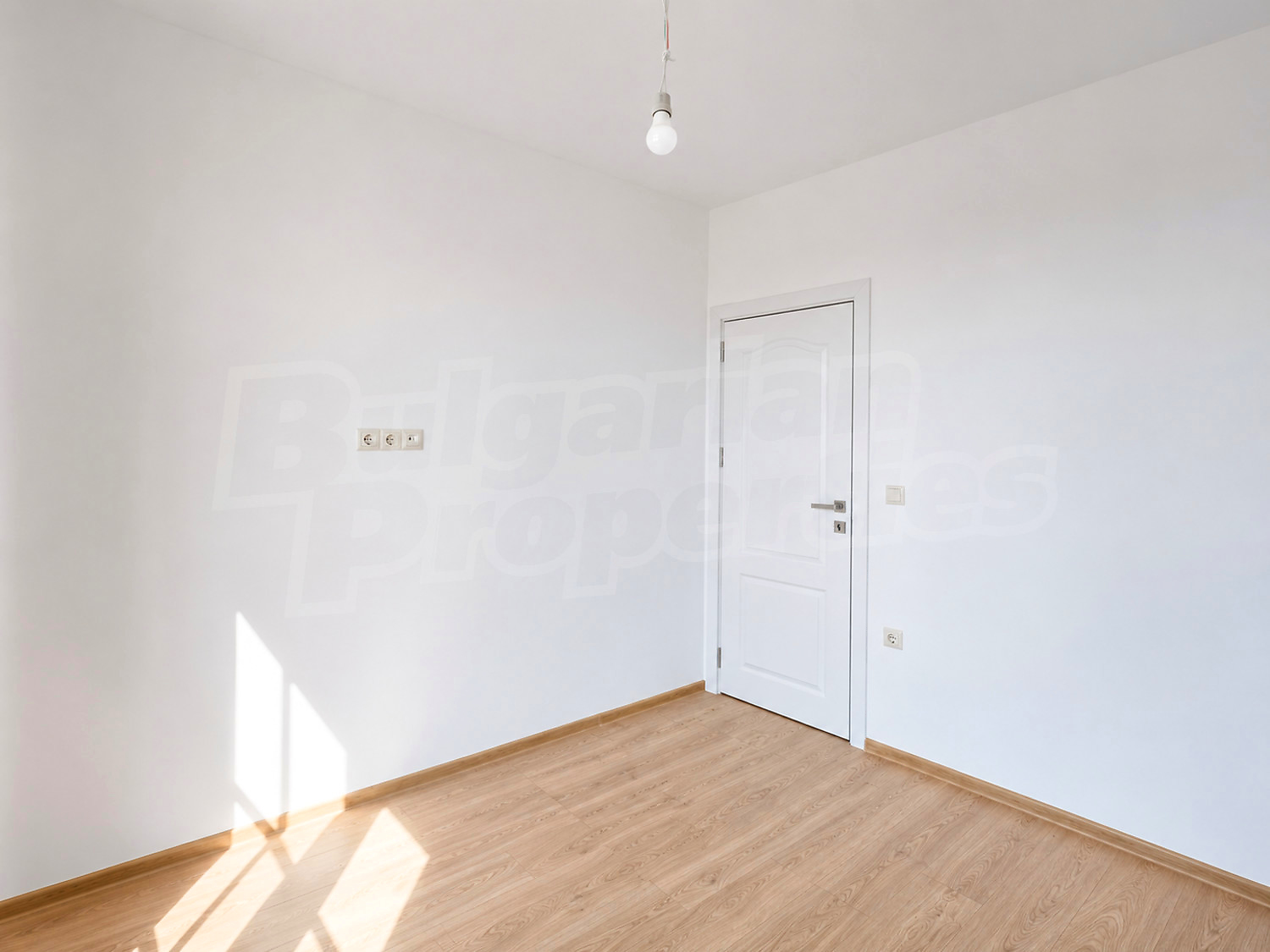 Gallery Picture 6