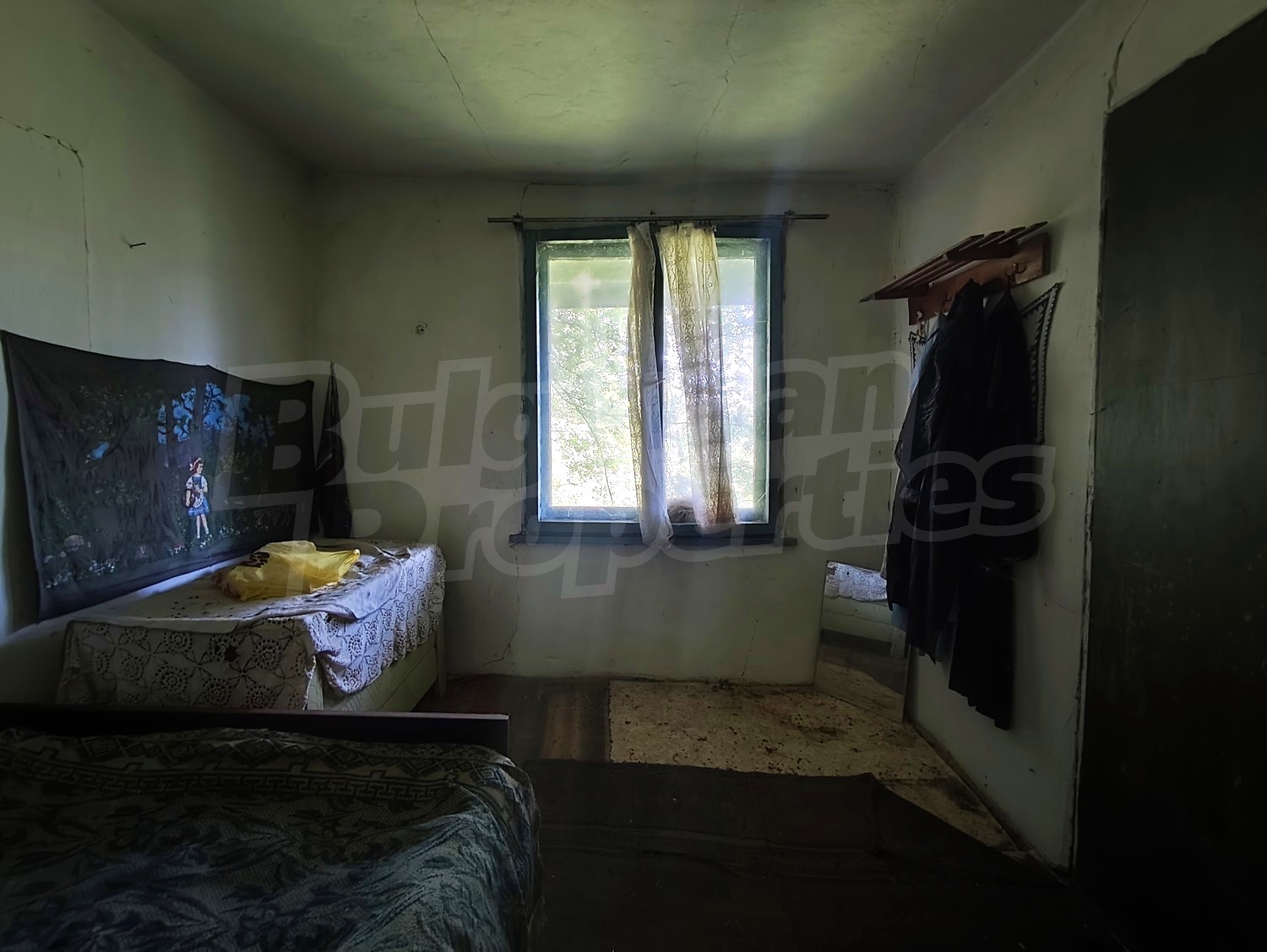 Gallery Picture 41