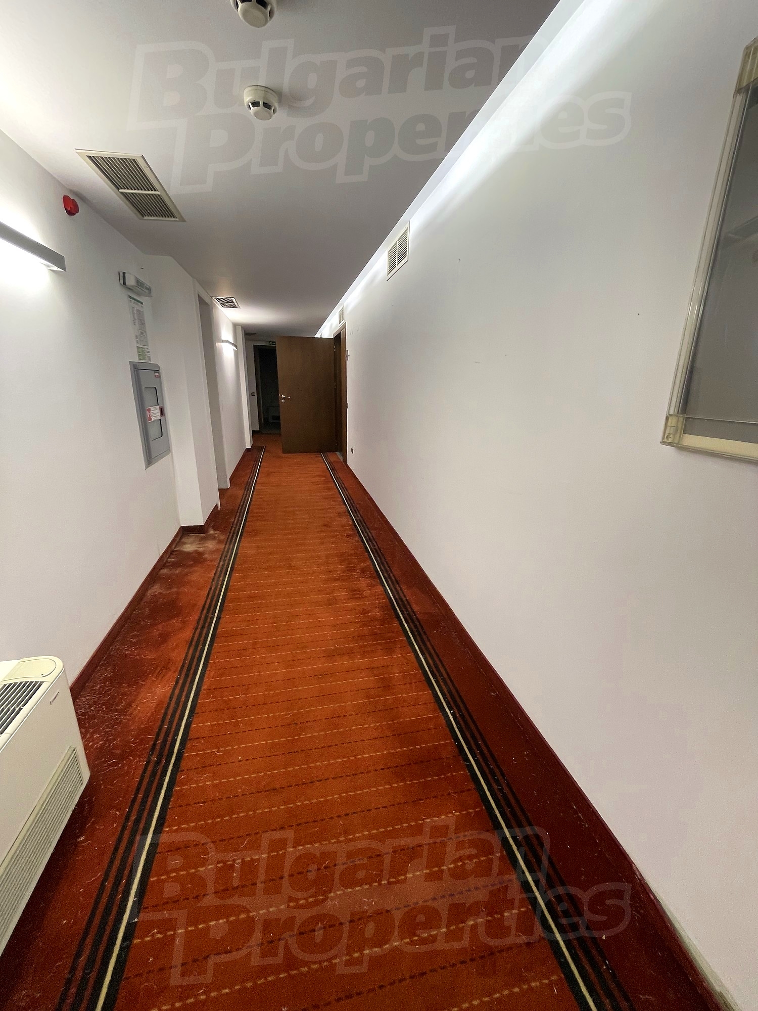 Gallery Picture 29