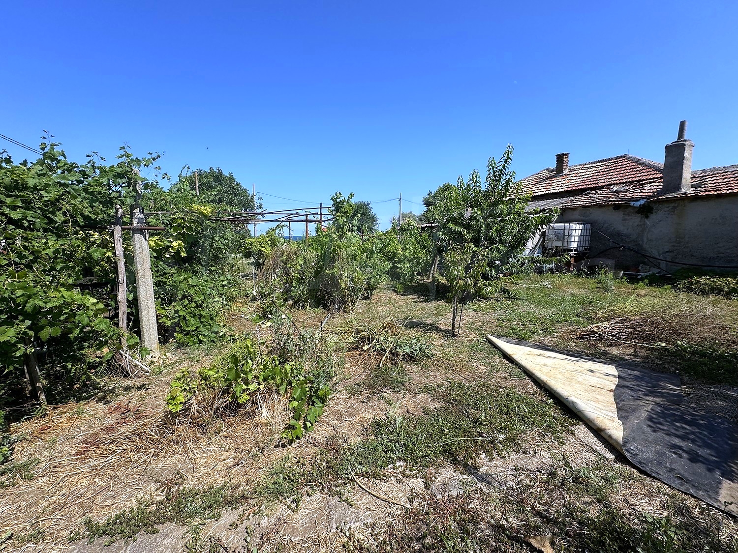 Gallery Picture 10