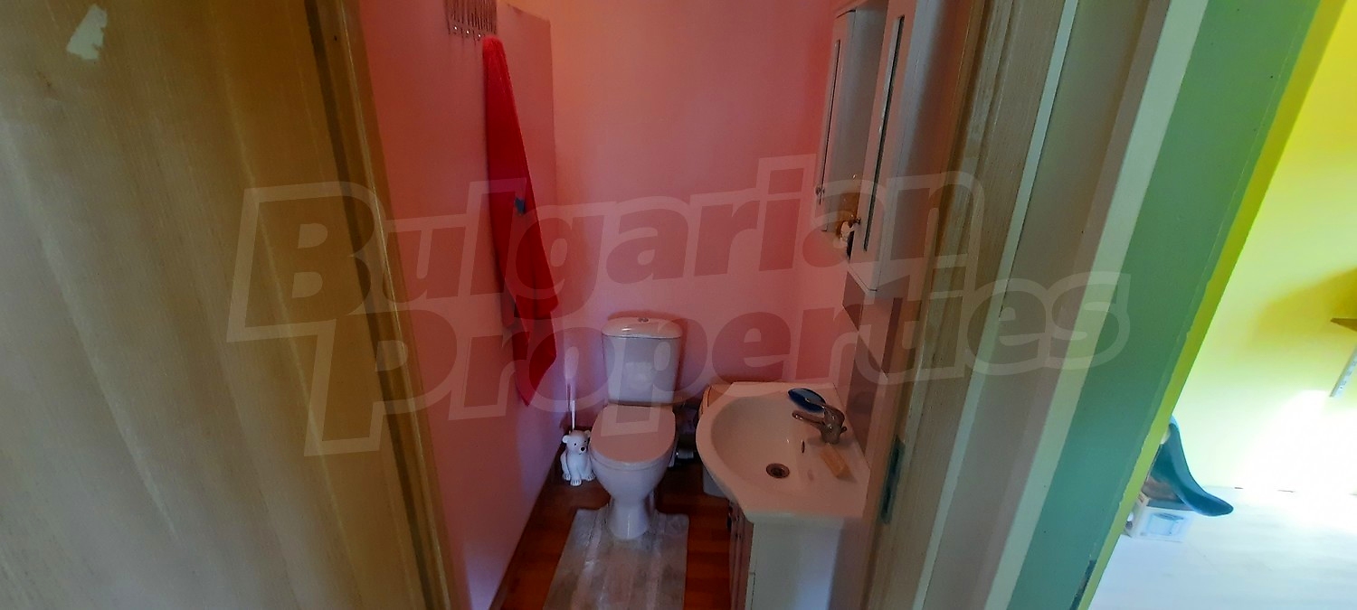 Gallery Picture 37