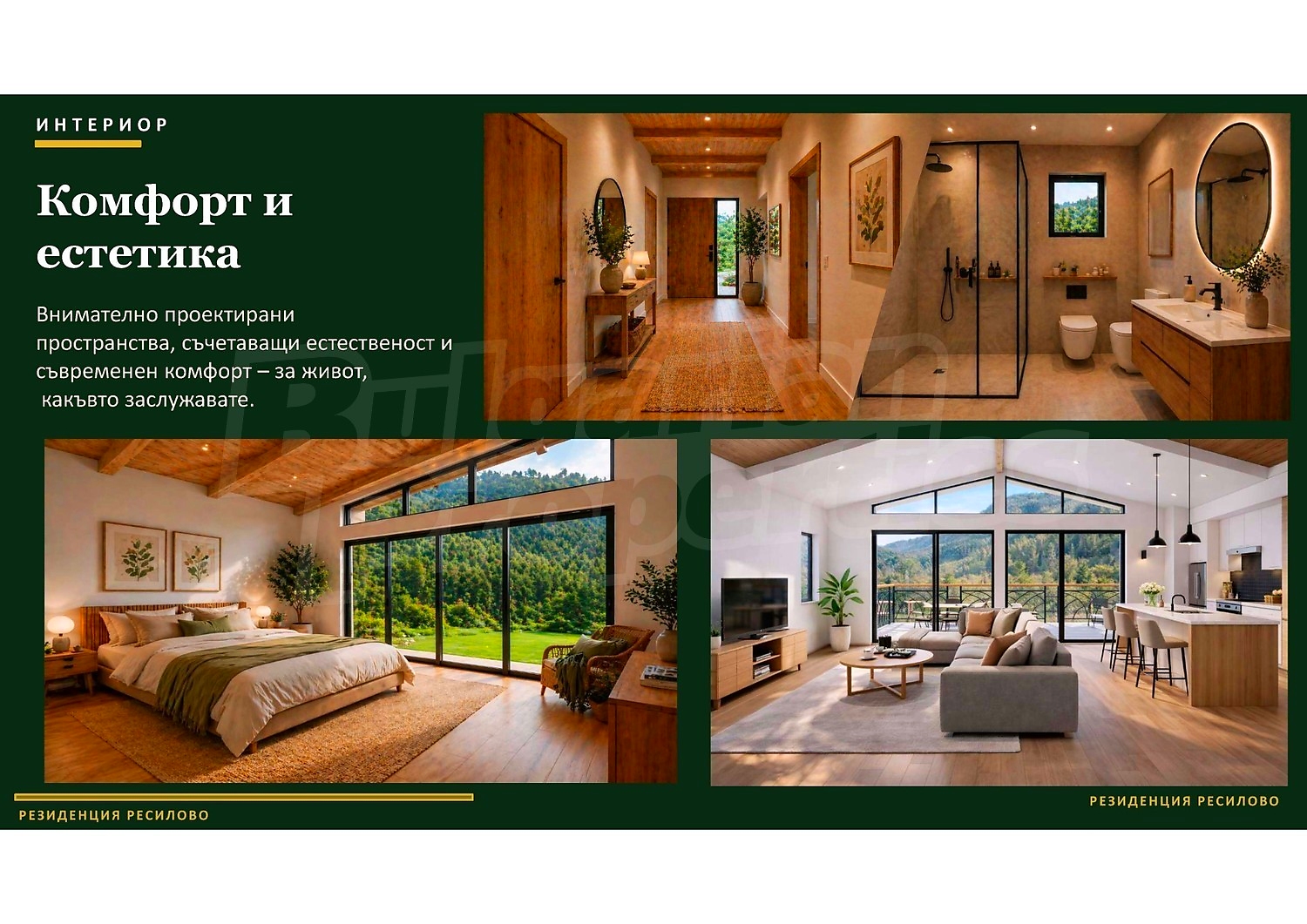 Gallery Picture 18