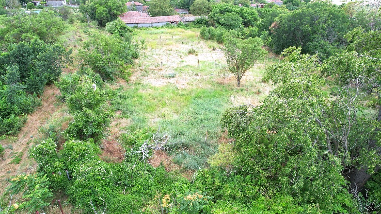 Gallery Picture 12