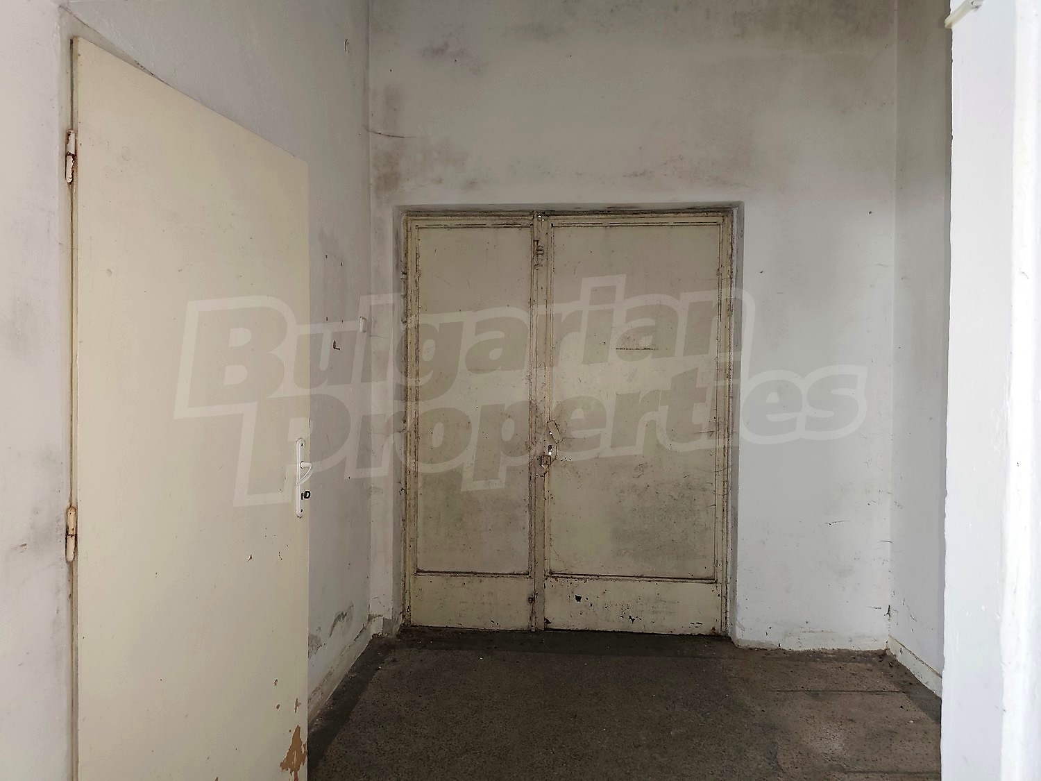 Gallery Picture 24