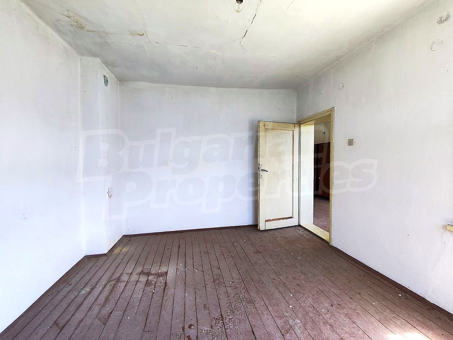 Gallery Picture 28