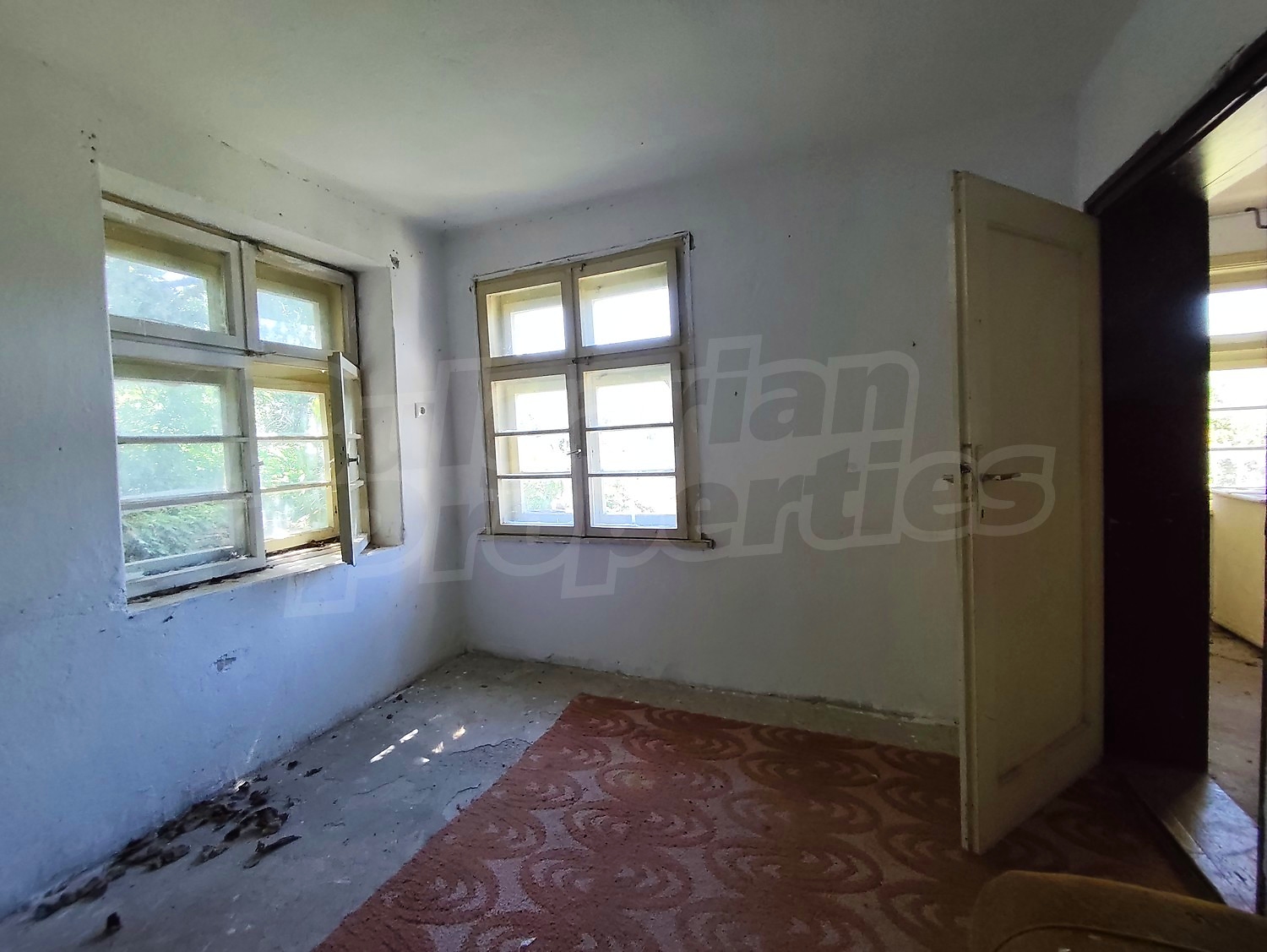 Gallery Picture 15