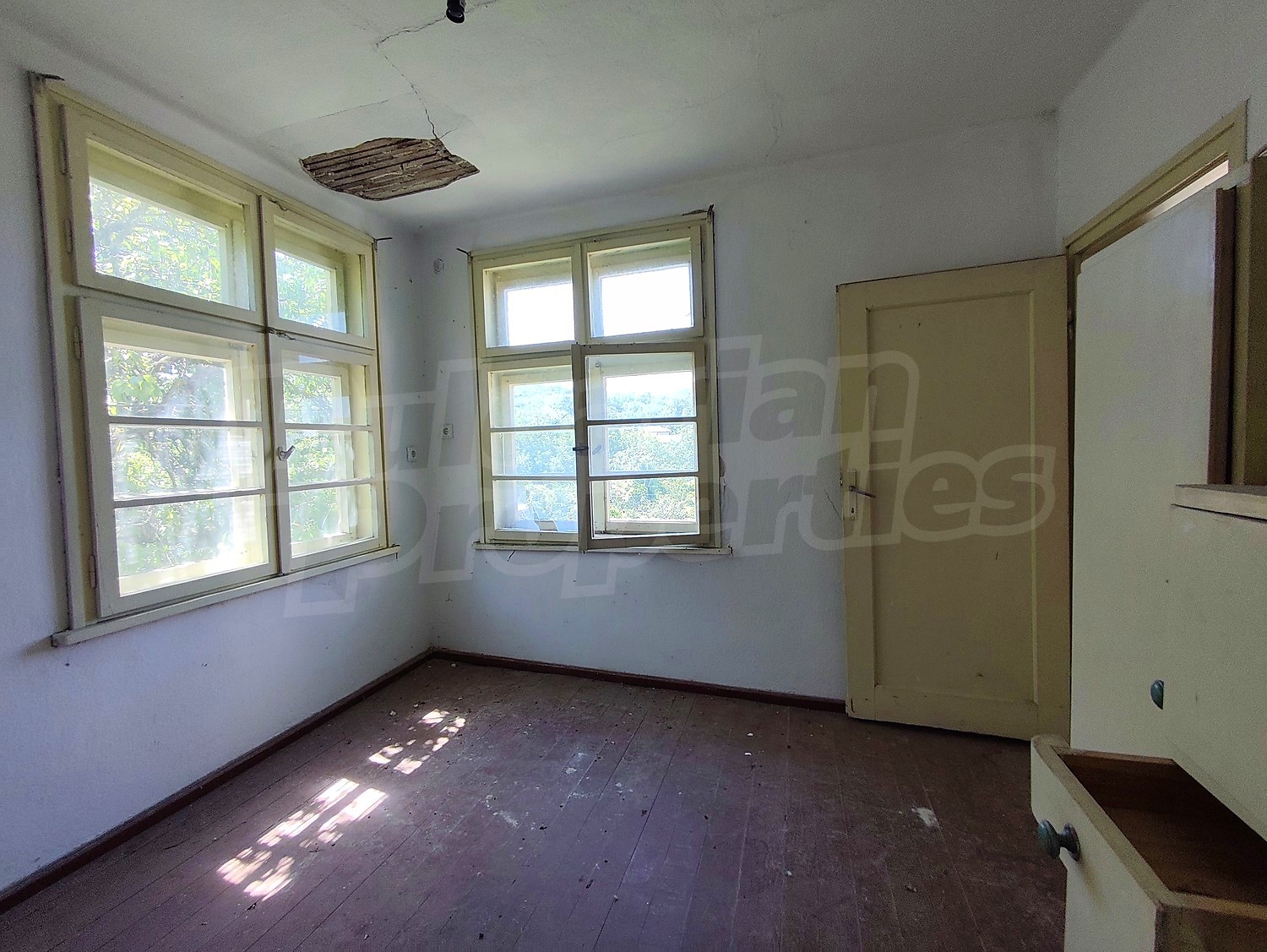 Gallery Picture 36