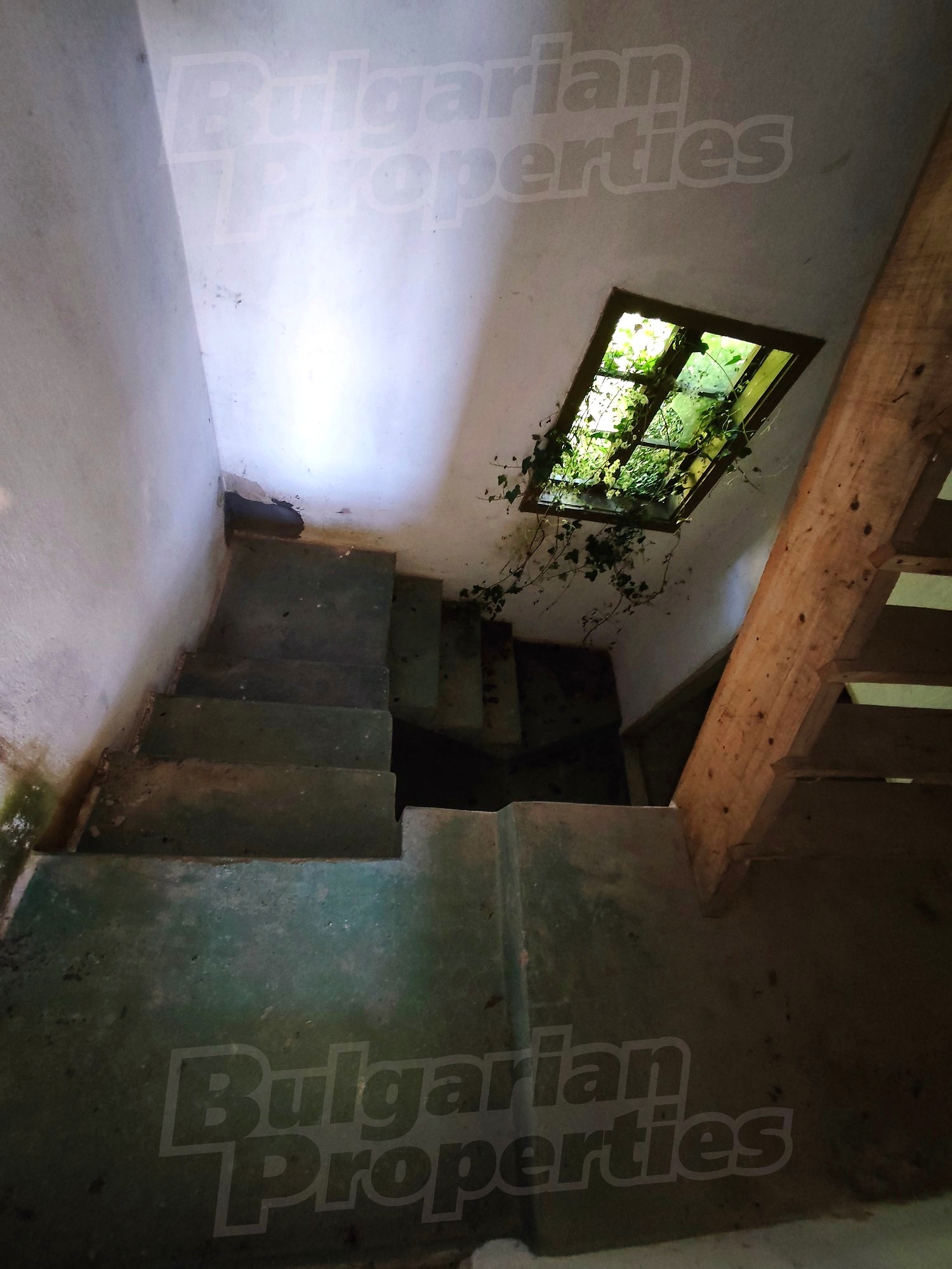 Gallery Picture 4