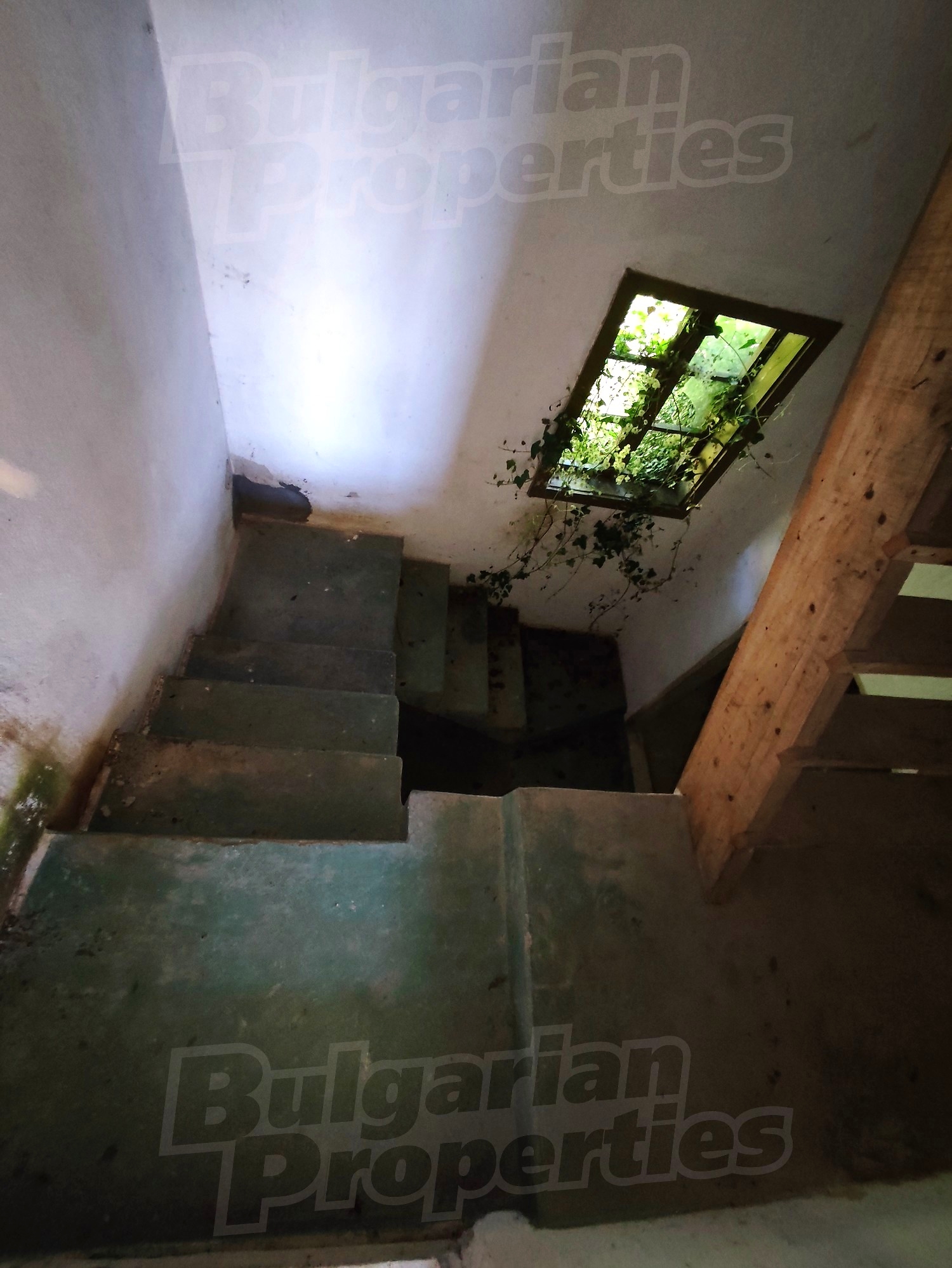 Gallery Picture 24