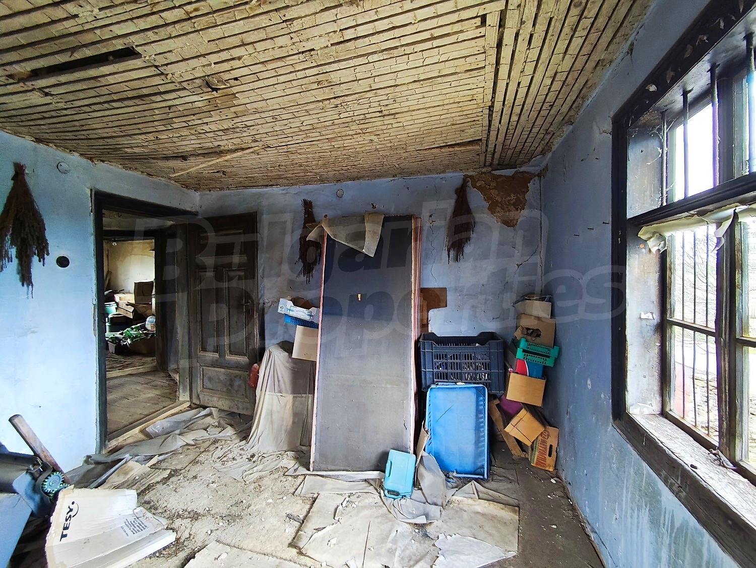 Gallery Picture 41