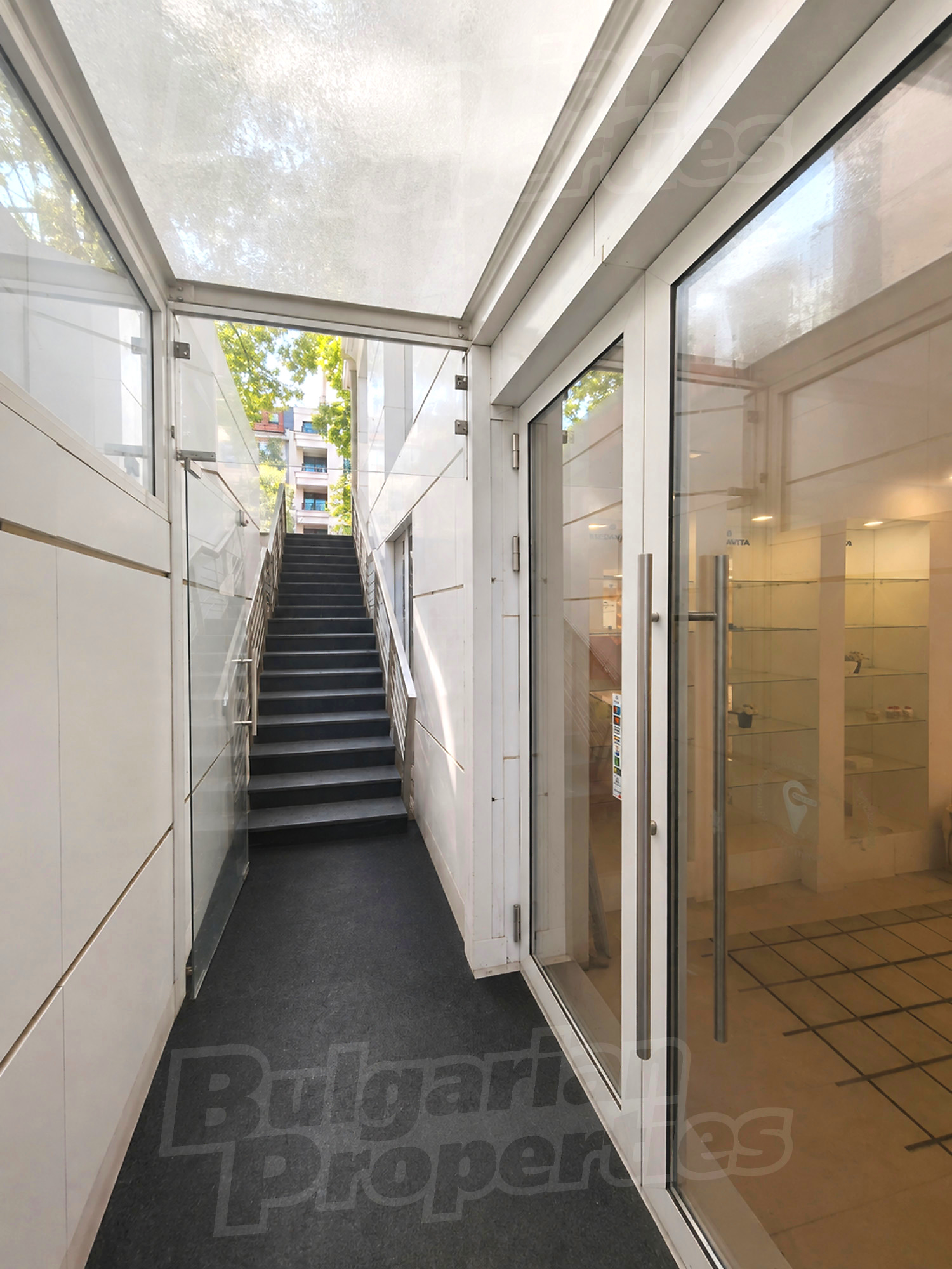 Gallery Picture 16