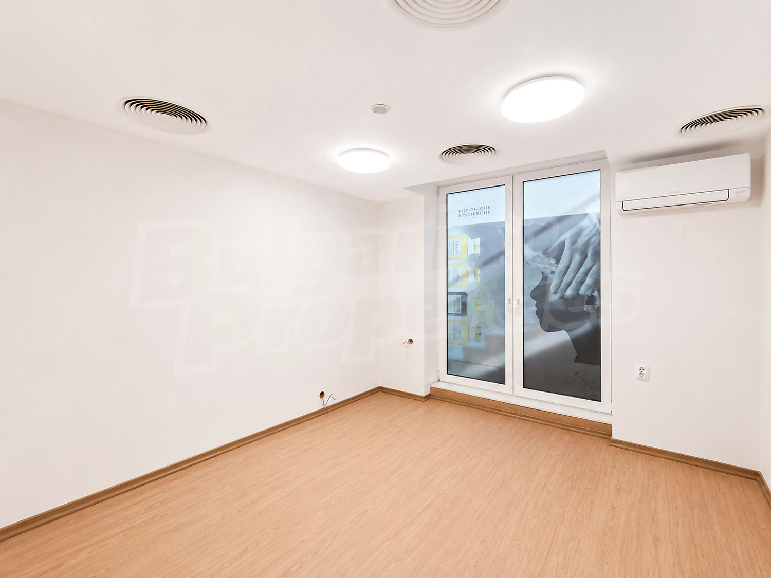 Gallery Picture 12