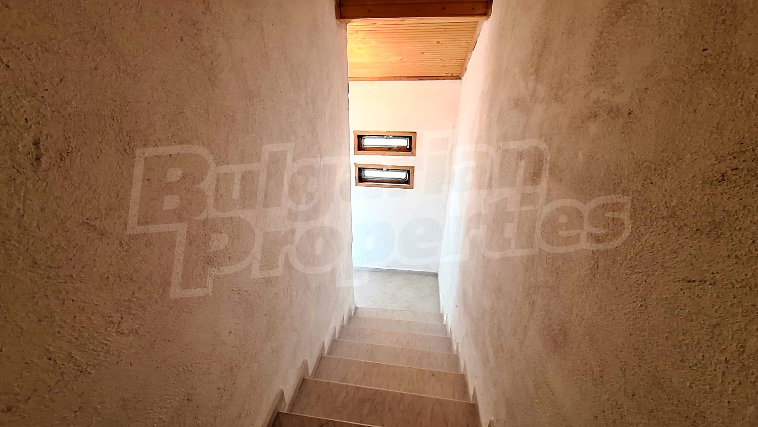 Gallery Picture 28